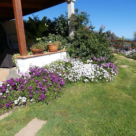 Comino Alto Agriturismo E Appartamenti Siniscola Bagian luar foto