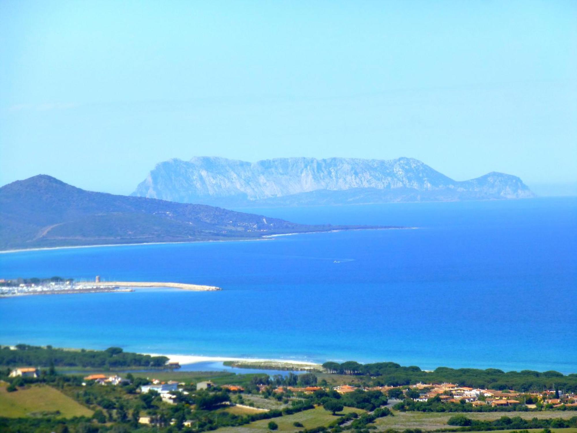 Comino Alto Agriturismo E Appartamenti Siniscola Bagian luar foto