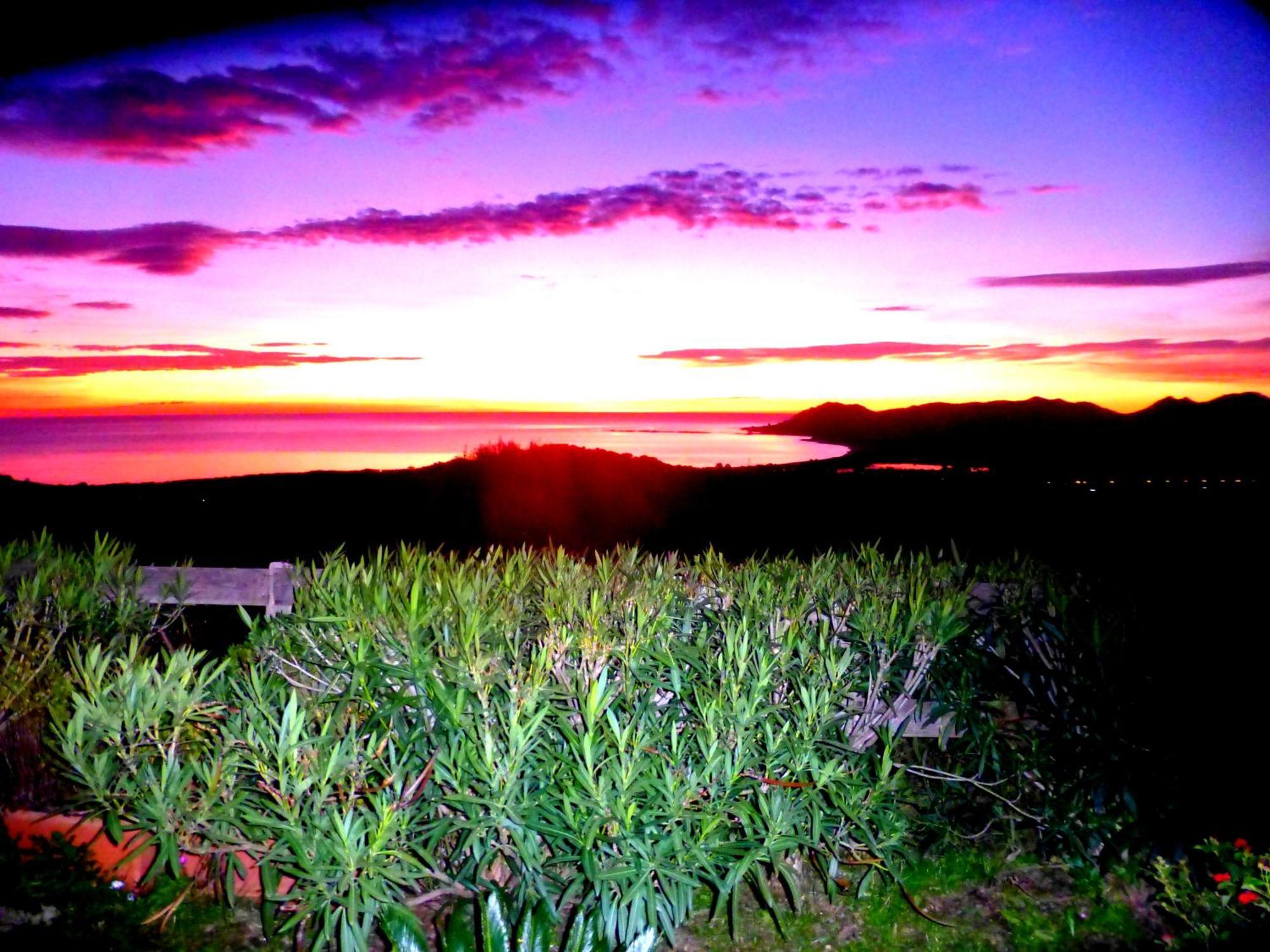 Comino Alto Agriturismo E Appartamenti Siniscola Bagian luar foto