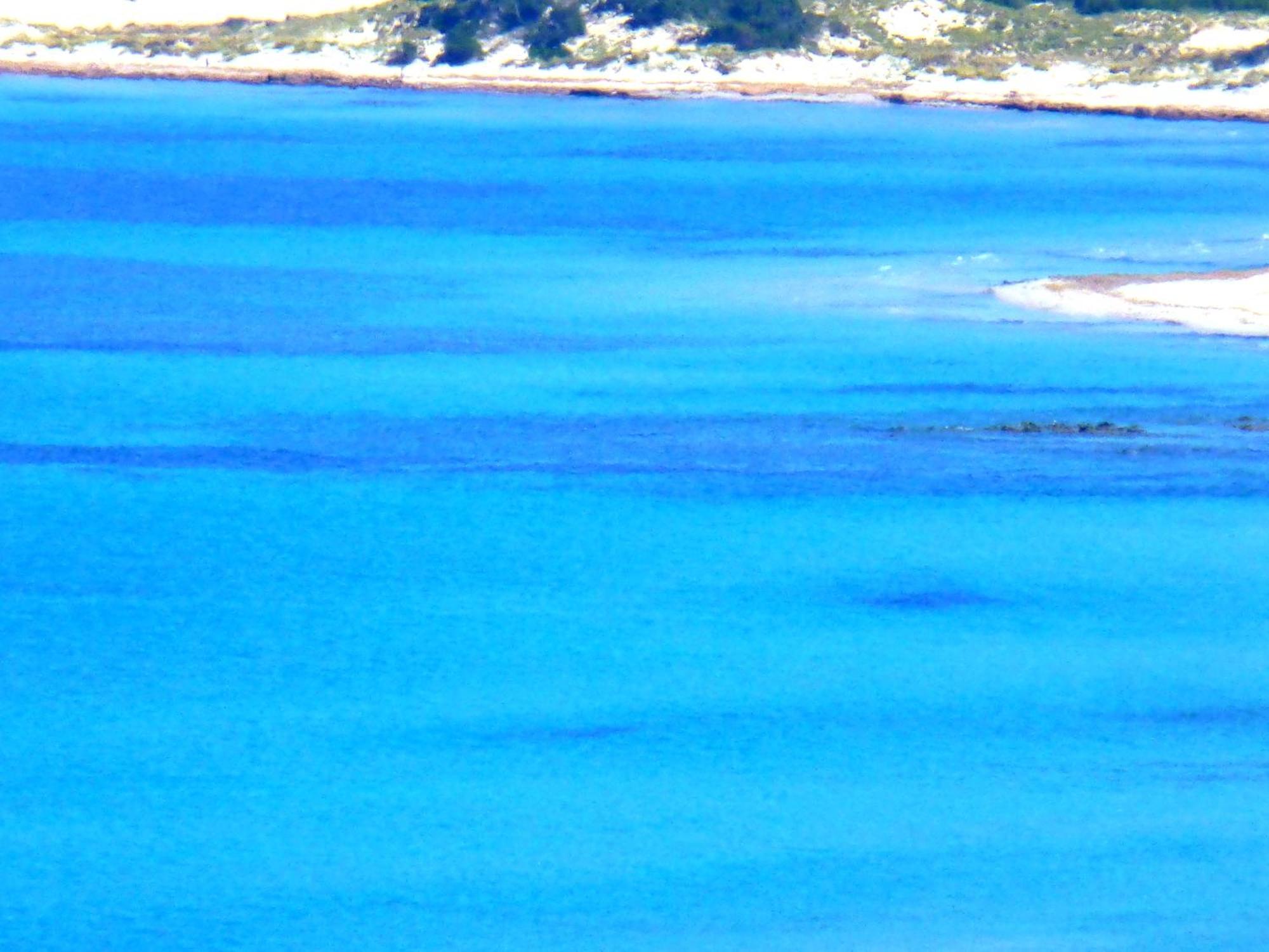 Comino Alto Agriturismo E Appartamenti Siniscola Bagian luar foto