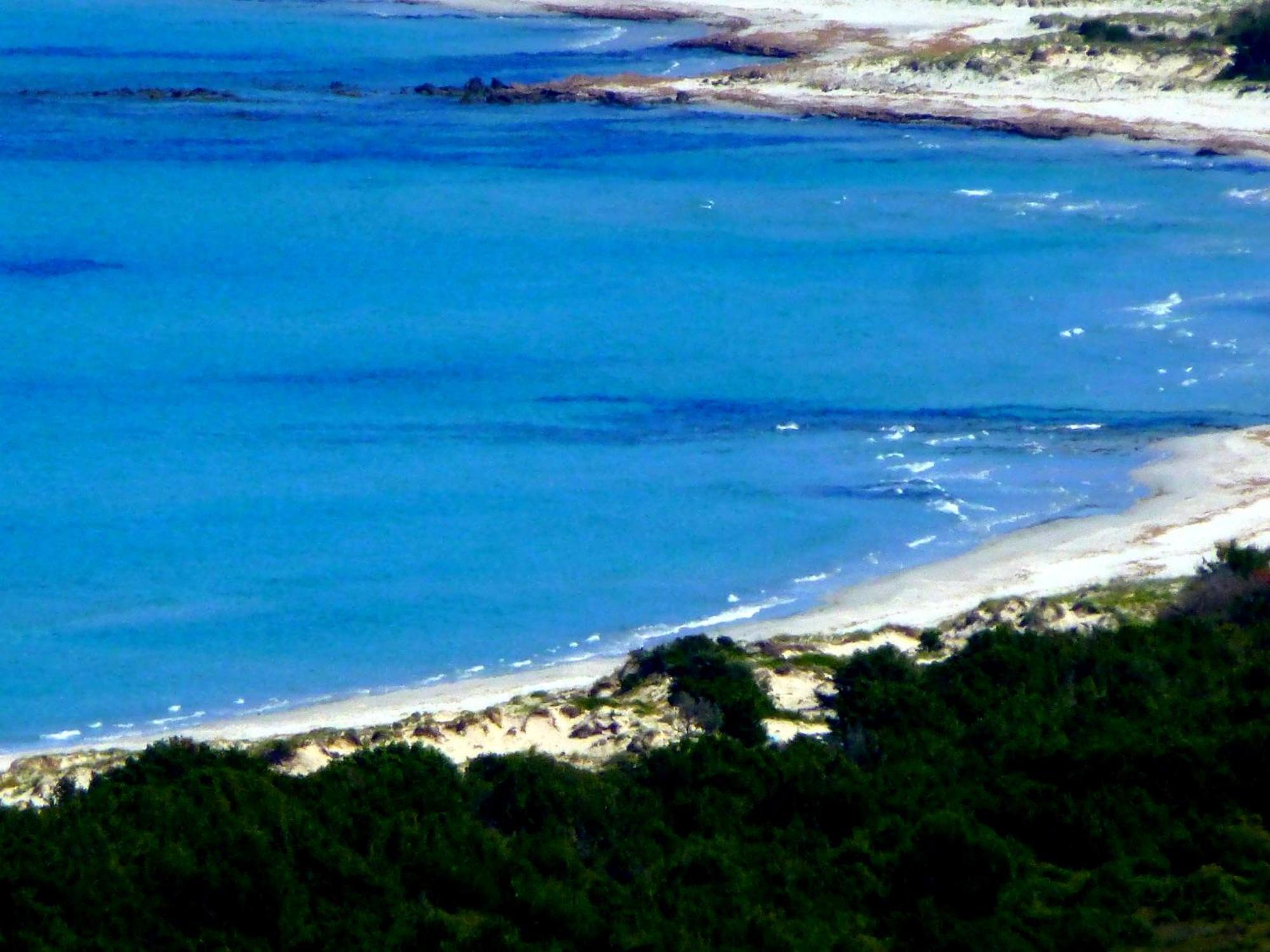Comino Alto Agriturismo E Appartamenti Siniscola Bagian luar foto