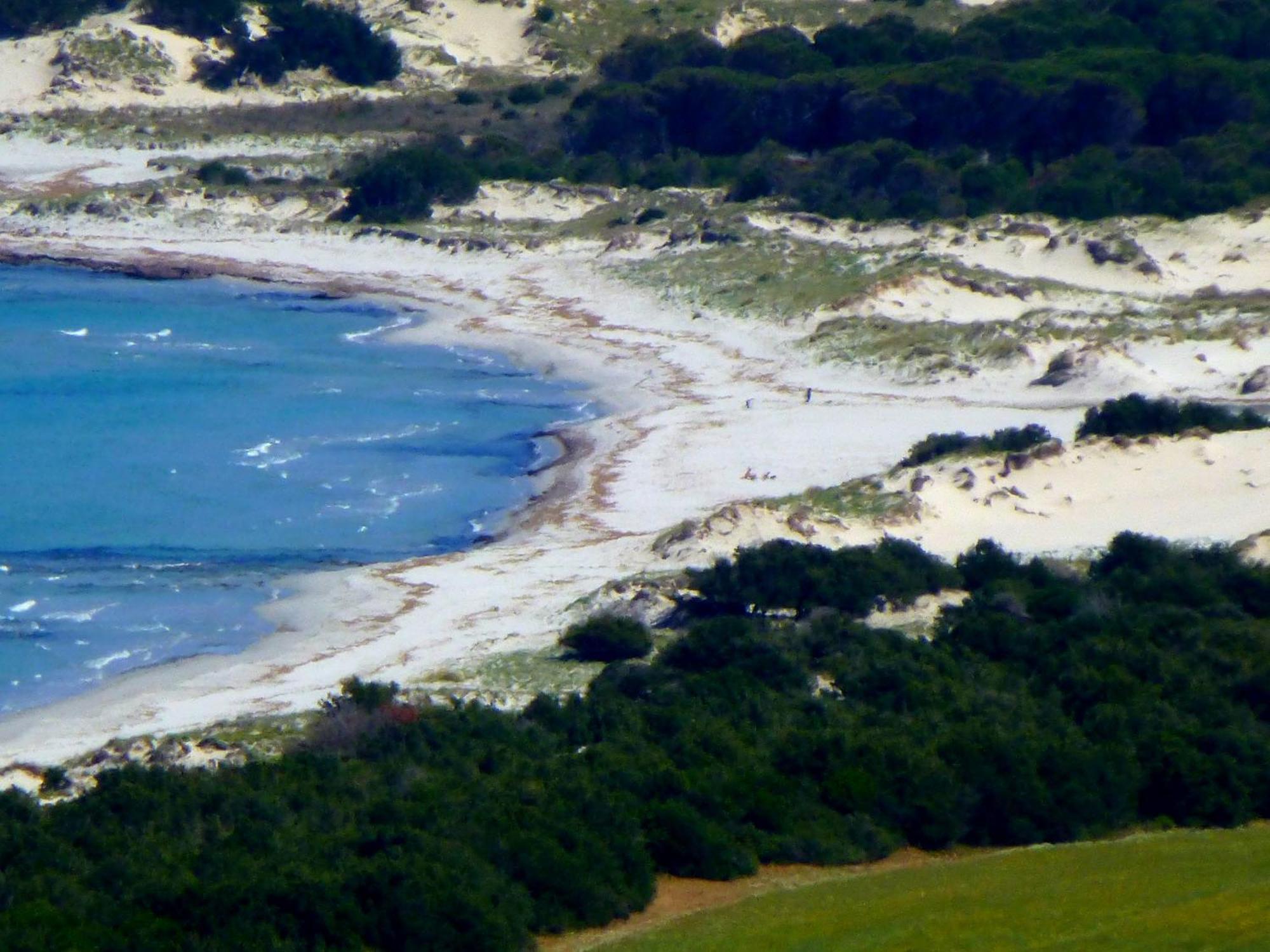 Comino Alto Agriturismo E Appartamenti Siniscola Bagian luar foto