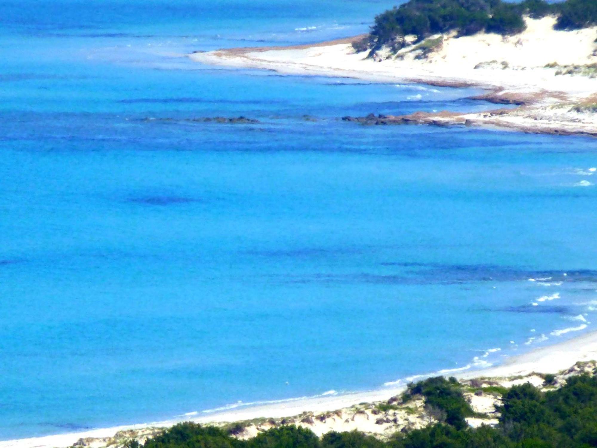 Comino Alto Agriturismo E Appartamenti Siniscola Bagian luar foto