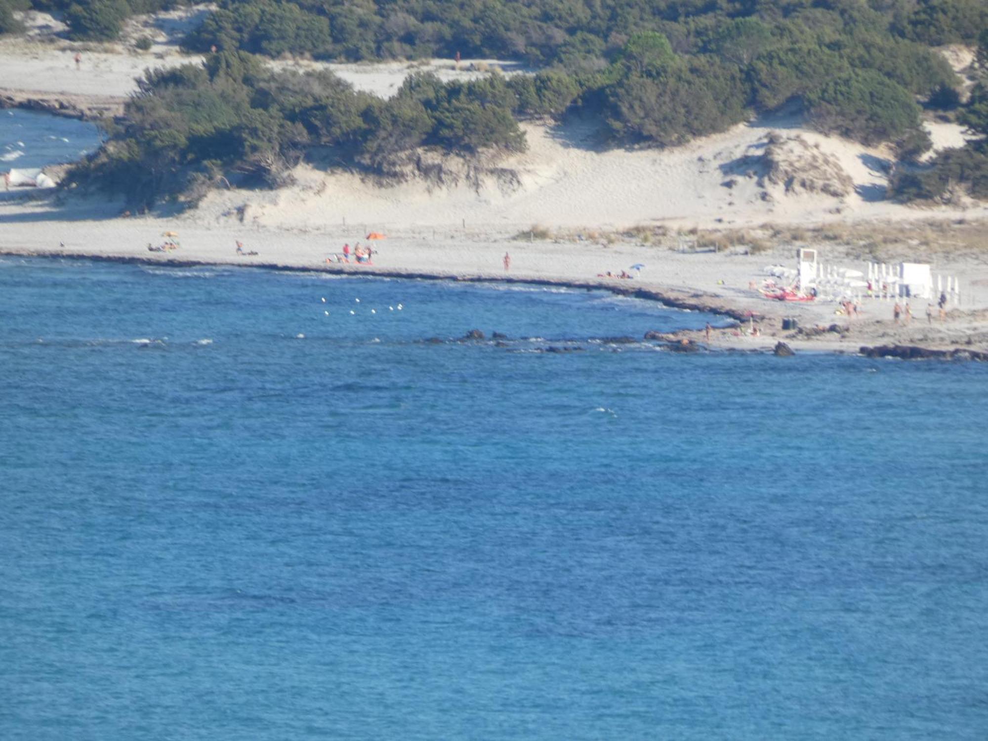 Comino Alto Agriturismo E Appartamenti Siniscola Bagian luar foto