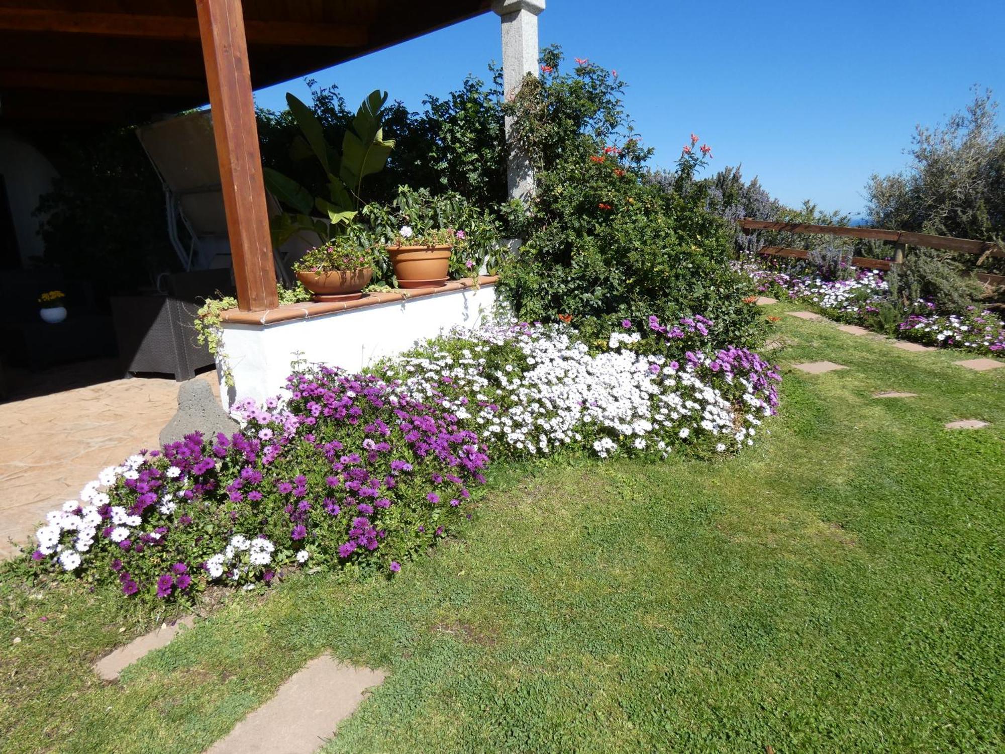 Comino Alto Agriturismo E Appartamenti Siniscola Bagian luar foto