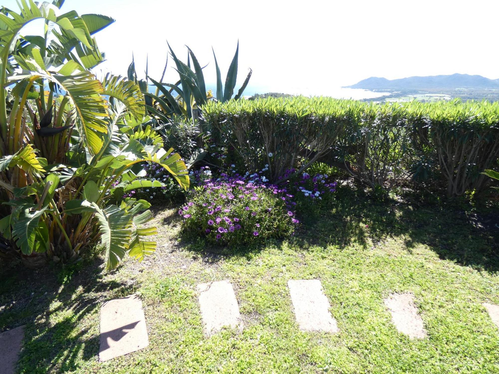 Comino Alto Agriturismo E Appartamenti Siniscola Bagian luar foto